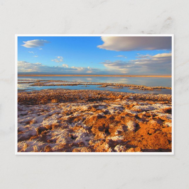 Carte Postale salar de atacama (Devant)