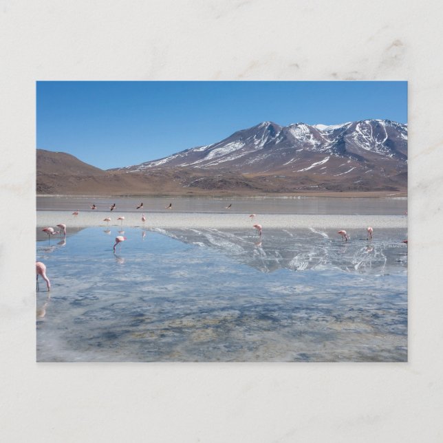CARTE POSTALE SALAR DE UYUNI SALT PLAT, BOLIVIE (Devant)