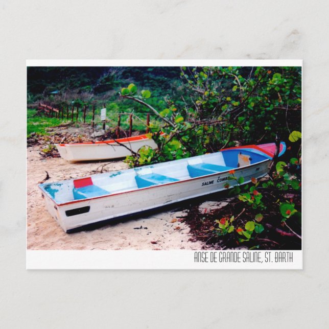 Carte Postale Saline Beach, St. Barts (Devant)