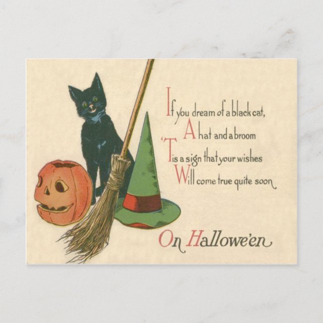 Carte Postale Salle Casquette de Jack O'Lantern Chat Noir Sorciè (Devant)