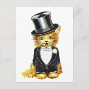 Carte Postale Salle de chat