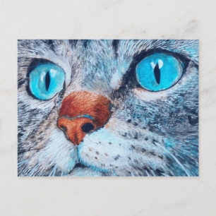 Carte Postale Sally le chat à l'oeil bleu