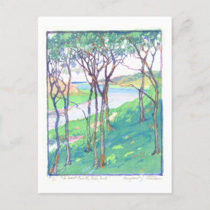 Carte Postale Salt Creek sur Cape Cod Print