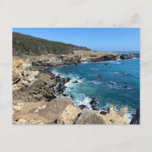 Carte Postale Salt Point State Park, Californie
