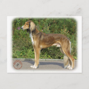 Carte Postale Saluki