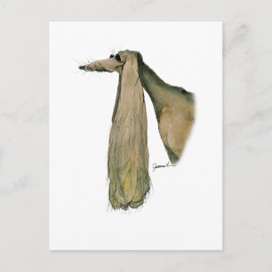 Carte Postale saluki dog, tony fernandes