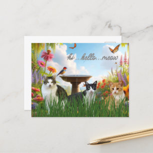 Carte Postale Salut Bonjour Meow / Chats dans le Jardin animal m