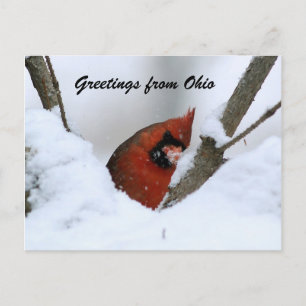 Carte Postale Salut de l'Ohio