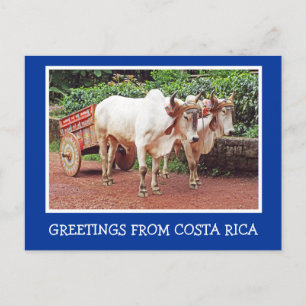 CARTE POSTALE SALUT DU COSTA RICA/OXCART ET OXEN