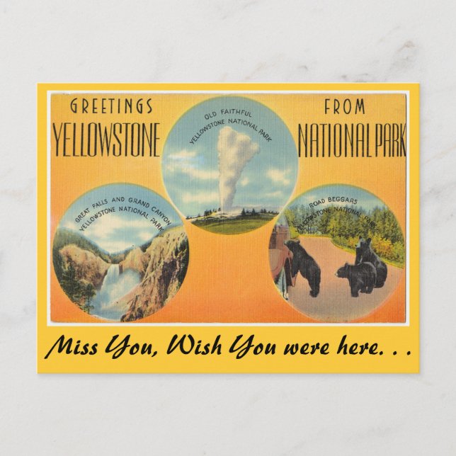 Carte Postale Salut du parc national Yellowstone (Devant)