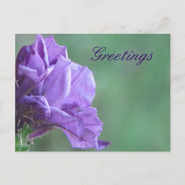 Carte Postale Salutation (Devant)
