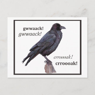 Carte Postale Salutation à propos corbeau