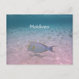 Carte Postale Salutation aux Maldives