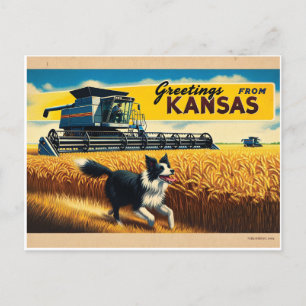Carte Postale Salutation de Border Collie de moissonneuse de blé