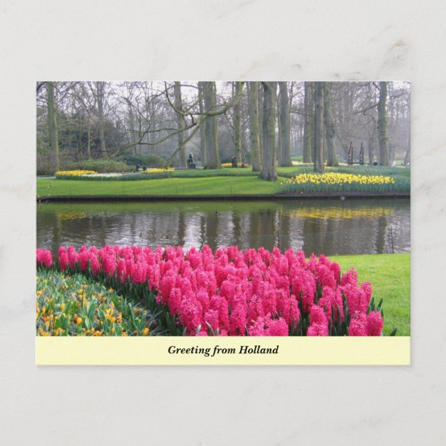 Carte Postale Salutation des Pays-Bas (Devant)