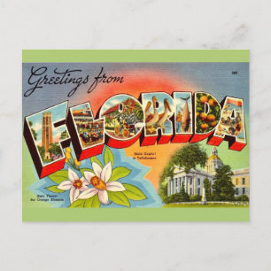 Carte Postale Salutation Floride Vintage