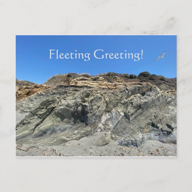 Carte Postale Salutation fugace ! (Devant)