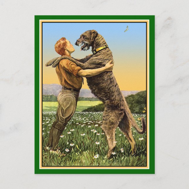Carte Postale "Salutation irlandaise de Wolfhound" (Devant)