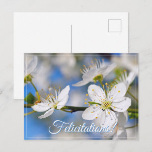 Carte Postale Salutations blanches de printemps