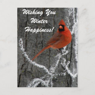 Carte Postale Salutations cardinales