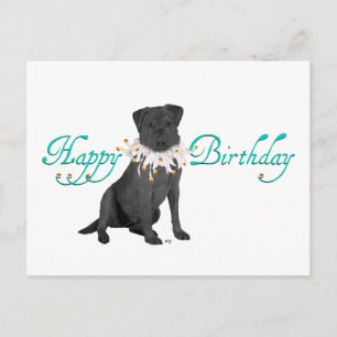 Carte Postale Salutations d'anniversaire de Labrador Retriever