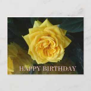 Carte Postale Salutations d'anniversaire de rose jaune