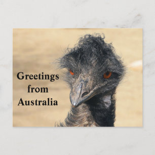 Carte Postale Salutations d'Australie