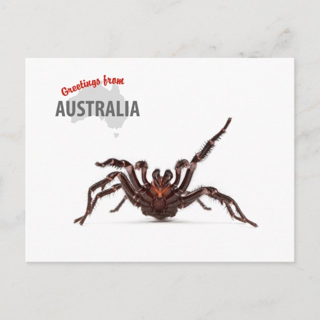 Carte Postale Salutations d'Australie - araignée d'Entonnoir-Web (Devant)