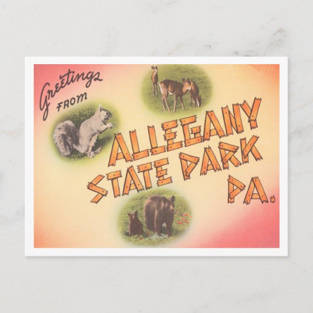 Carte Postale Salutations de Allegany State Park, Pennsylvanie (Devant)