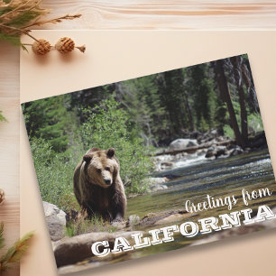Carte Postale Salutations de California Grizzly Bear