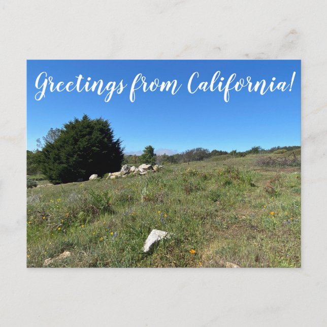 Carte Postale Salutations de Californie ! (Devant)