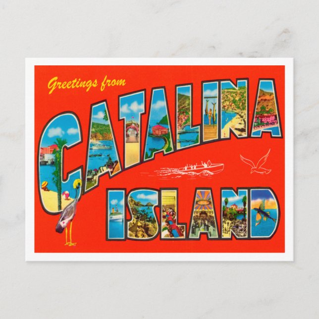 Carte Postale Salutations de Catalina Island, Californie Travel (Devant)