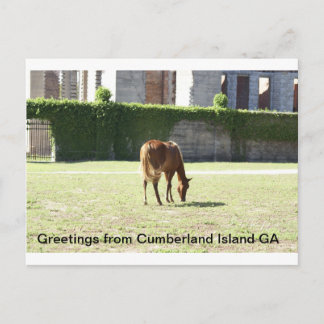 Carte Postale Salutations de Cumberland Island GA