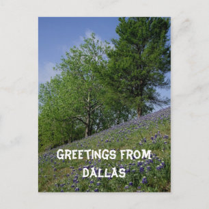 Carte Postale Salutations de Dallas Postcard
