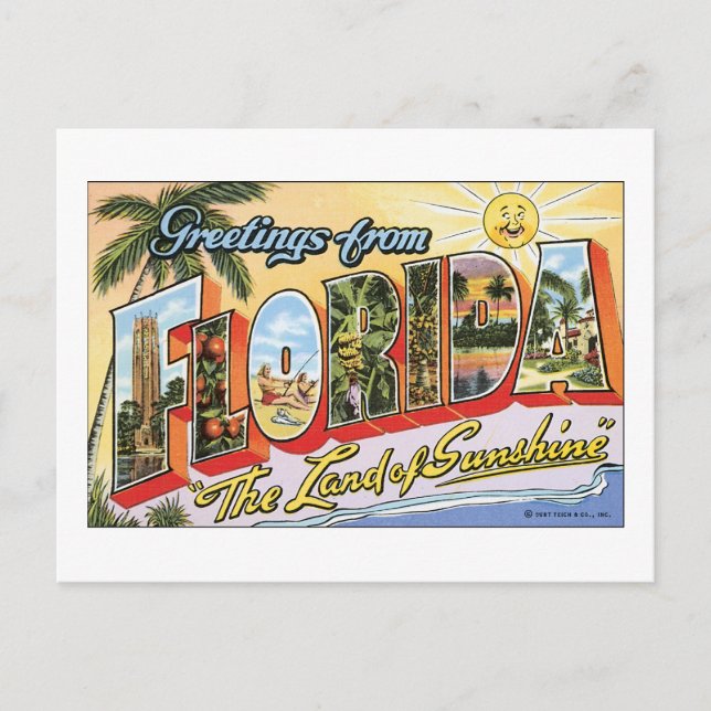 Carte Postale Salutations de Floride (Devant)