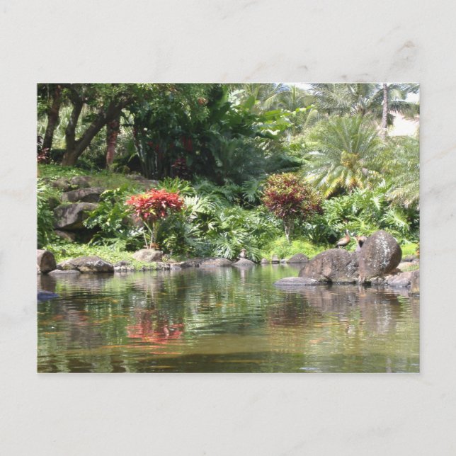Carte Postale Salutations De Kauai (Devant)