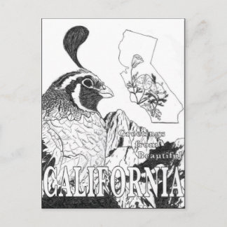 Carte Postale Salutations De La Belle Californie