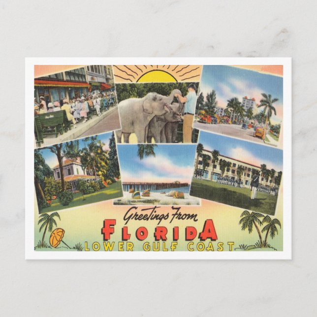 Carte Postale Salutations de la Floride, côte du golfe inférieur (Devant)