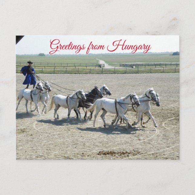 Carte Postale Salutations de la Hongrie (Devant)