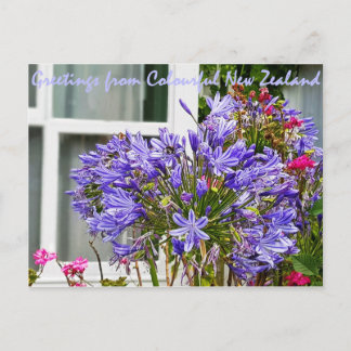 Carte Postale Salutations de la Nouvelle-Zélande
