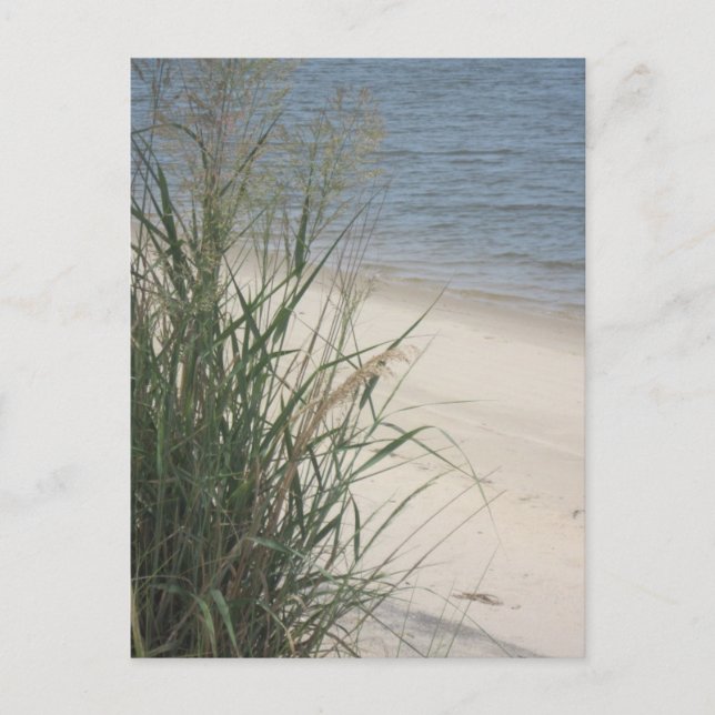 Carte Postale Salutations de la plage ! (Devant)