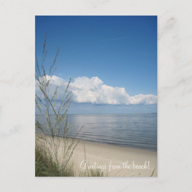 Carte Postale Salutations de la plage ! (Devant)