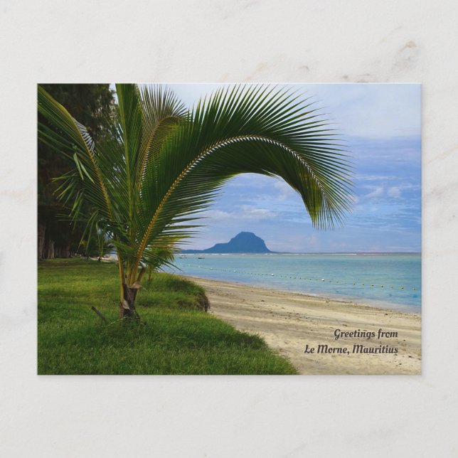 Carte Postale Salutations de Le Morne, Maurice (Devant)