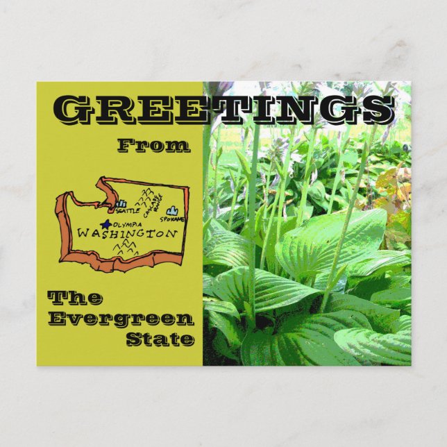 Carte Postale Salutations de l'État de Washington (Devant)