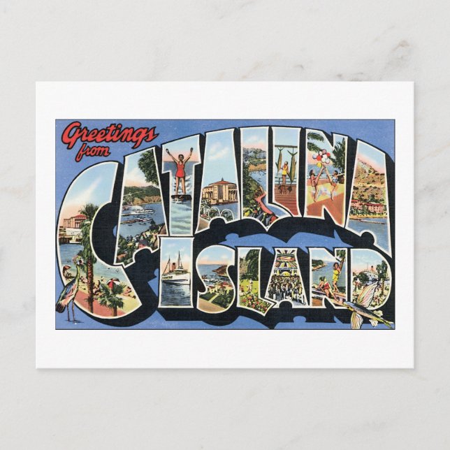 Carte Postale Salutations de l'île Catalina (Devant)