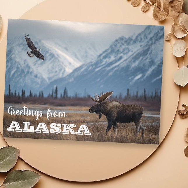 Carte Postale Salutations de l'orignal d'Alaska et de l'aigle ch (Créateur téléchargé)