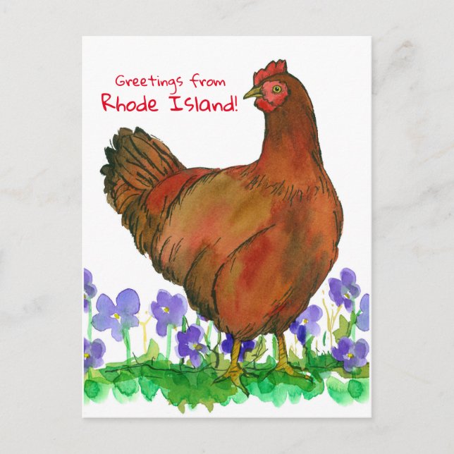 Carte Postale Salutations De Rhode Island Red Hen Violets (Devant)
