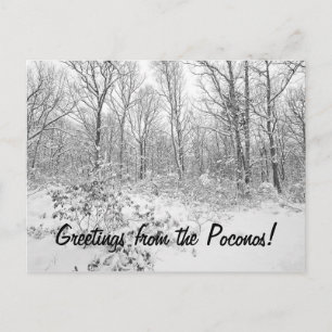 Carte Postale Salutations de Snowy Poconos
