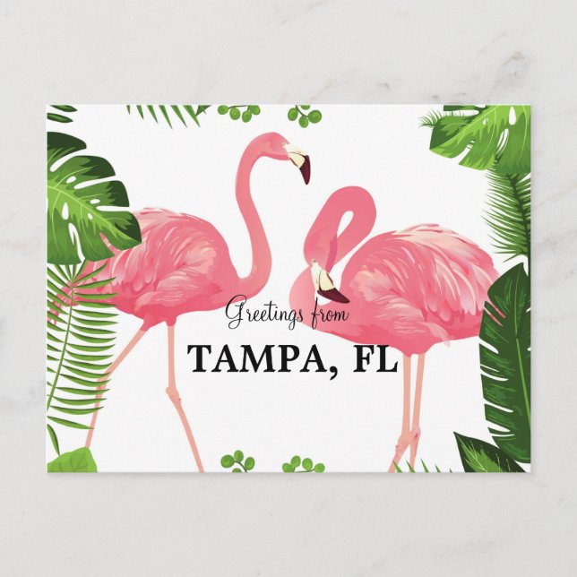 Carte Postale Salutations de Tampa, Floride (Devant)