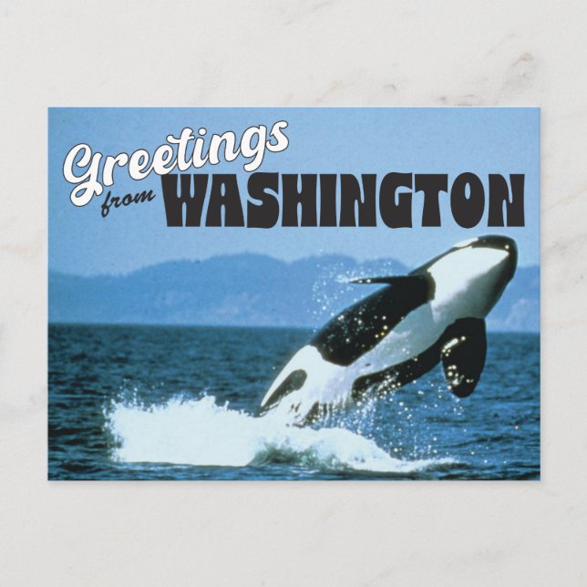 Carte Postale Salutations de Washington State avec Orca Whale (Devant)